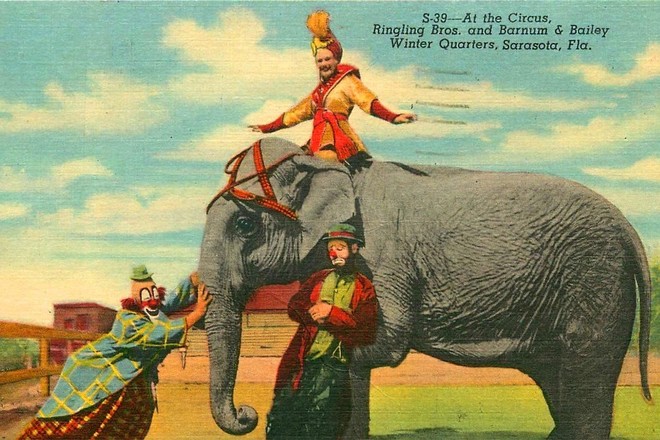 Circus Secrets of Sarasota - 90 Min
