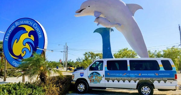 Dolphin Research Center Day Tour