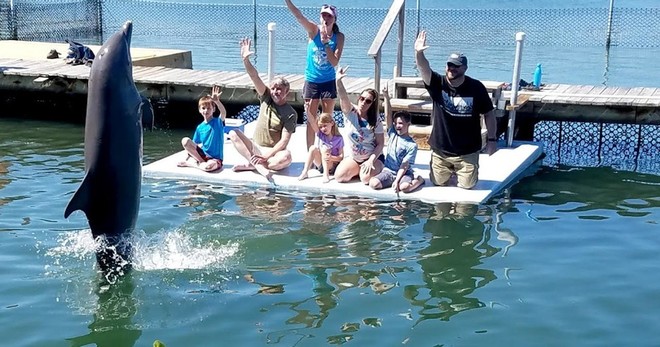 Dolphin Research Center Day Tour