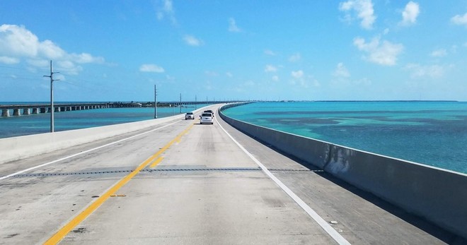 Road Trip: 7 Mile Bridge, Beach & Key Deer