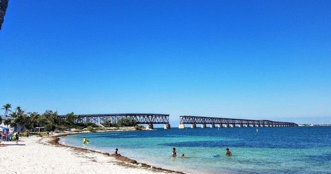 Road Trip: 7 Mile Bridge, Beach & Key Deer