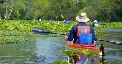 Private Wekiva River Tour