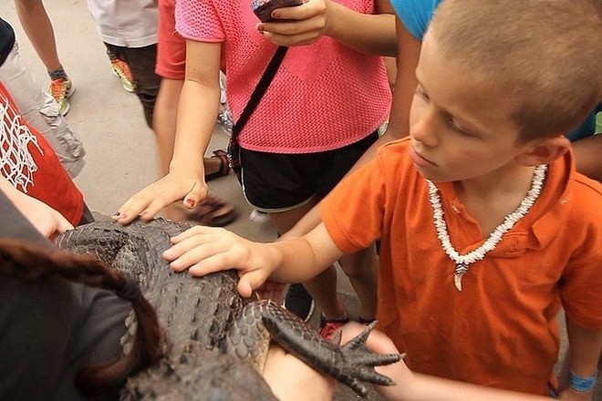 Everglades Airboat Adventure
