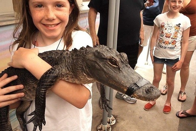 Everglades Airboat Adventure
