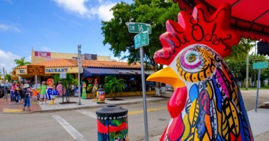 Miami City and Boat Tour Combo with a FREE Bicycle Rental 