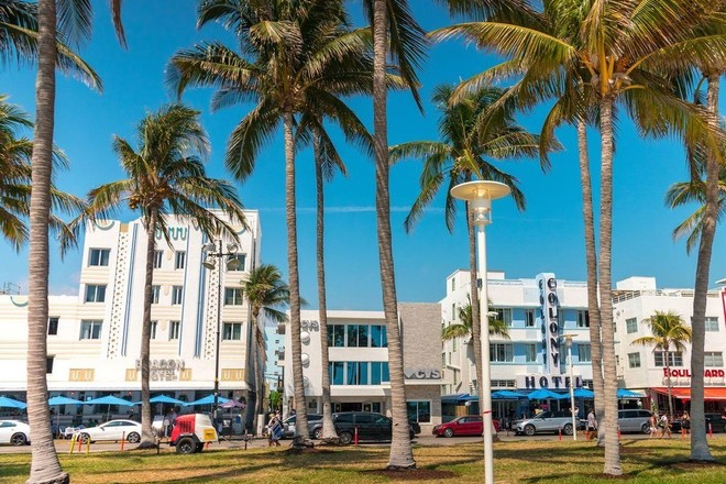 Miami City and Boat Tour Combo with a FREE Bicycle Rental 