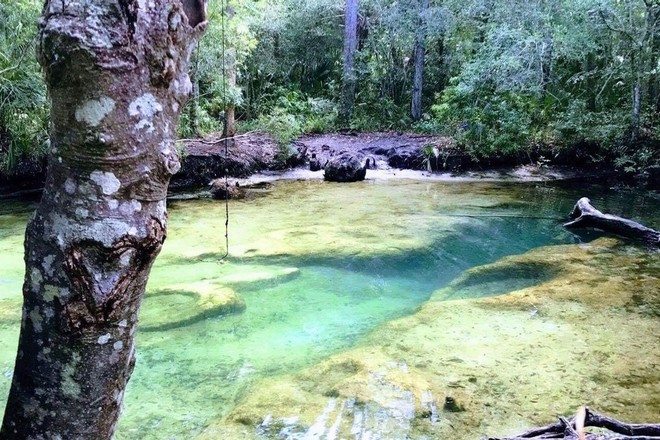 Chassahowitzka Wildlife Kayak Tour - 3 Hours • All Ages