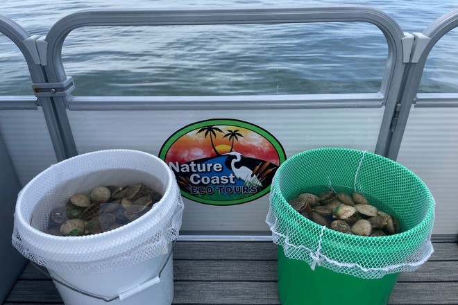 Scalloping Adventure Homosassa River • 4.5 Hours • All Ages