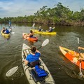 Create Listing: 5 Day Rental - Rent Kayaks, Paddle Boards & Fishing Gears