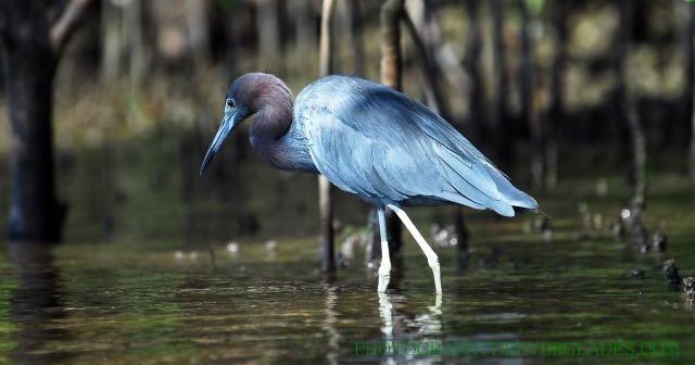 Private Photo Safari - 2.5 hrs
