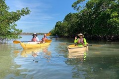 Create Listing: Private Orchids & Alligators Kayak Eco Tour - 3hrs