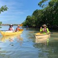 Create Listing: Private Orchids & Alligators Kayak Eco Tour - 3hrs