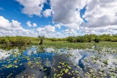 Create Listing: Depart from MIA to the Everglades  Airboat tour - 4hrs