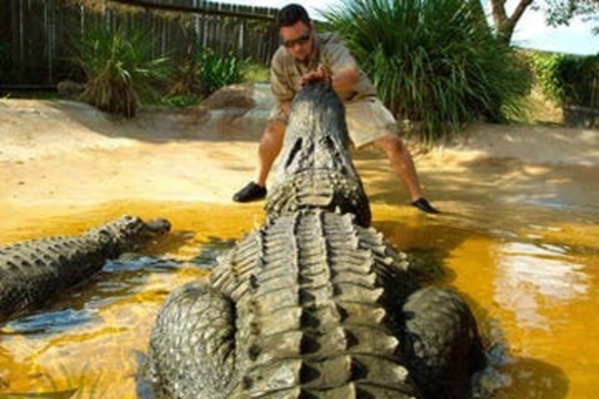 Florida Everglades | 30min Airboat Ride| Wildlife | All Ages