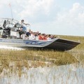 Create Listing: Florida Everglades | 30min Airboat Ride| Wildlife | All Ages