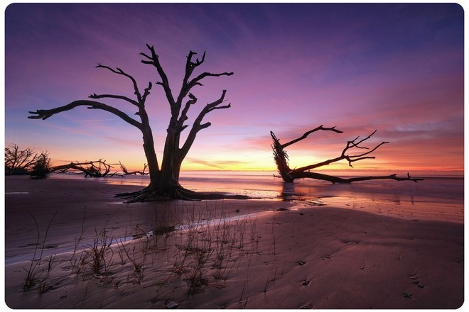 Boneyard Beach Sunrise Adventure 