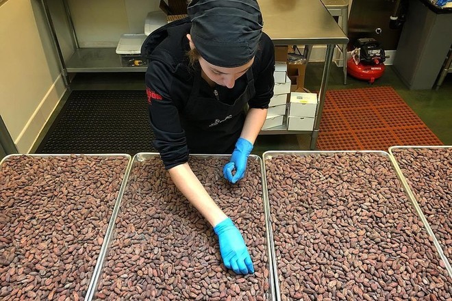 Chocolate Factory Tour 45 Minutes • Ages 12+
