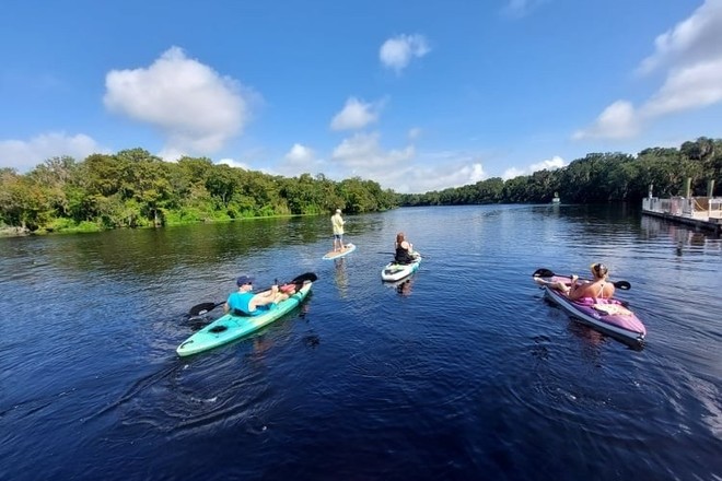 Wildlife Paddle Board or Kayak Adventure at Blue Spring