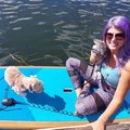 Create Listing: Paddle board or kayak with Bunny & Pups in Paradise