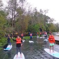 Create Listing: Wekiva River Eco Adventure: SUP & Swim / SUP & Hike - 2.5hrs
