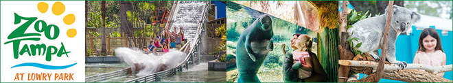 General Admissions - (Save over 15%)