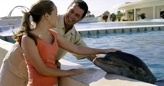 Dolphin Meet and Greet - (SAVE UP TO 20%)
