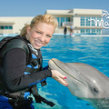 Create Listing: Dolphin Swim Adventure - (SAVE UP TO 20%)