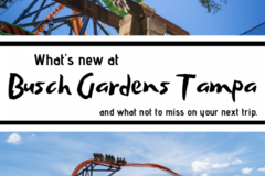 Create Listing: BUSCH GARDENS TAMPA BAY - SAVE UP TO 50%