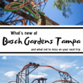 Create Listing: BUSCH GARDENS TAMPA BAY - SAVE UP TO 50%