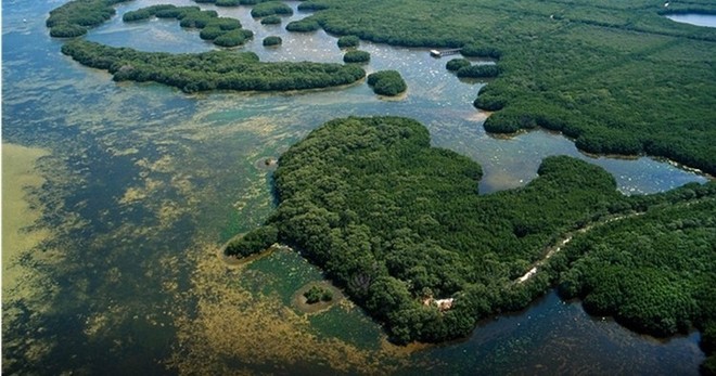 Weedon Island - One Hour Rental