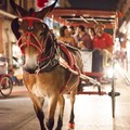Create Listing: History & Haunts Carriage Tours - 1 hr