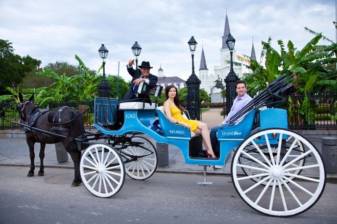 Private Carriage Tours - 1 hr