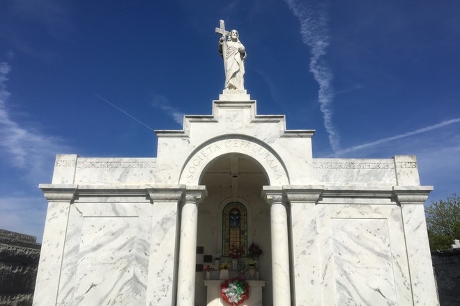 Tour St. Louis No. 3 near City Park- 1.5hrs