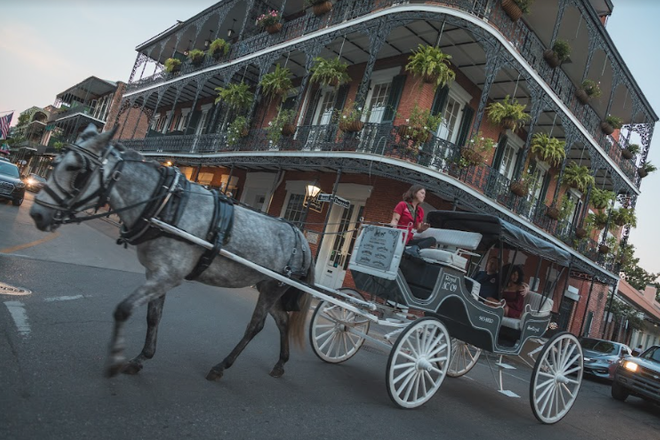 New Orleans City Walking Tour - 2hrs