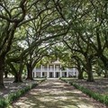Create Listing: Whitney Museum Plantation - 5.5hrs