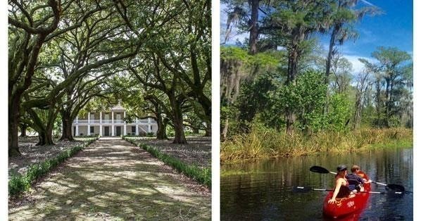 Kayak Swamp and Whitney Plantation Combo Tour - 8 hrs