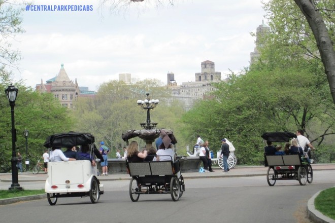 2 Hrs Central Park Pedicab Tour - Main Features