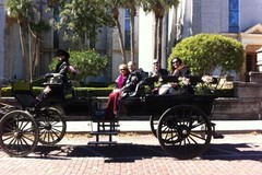 Create Listing: GROUP 'Nights of Lights' Wine & Carriage Ride (shared)