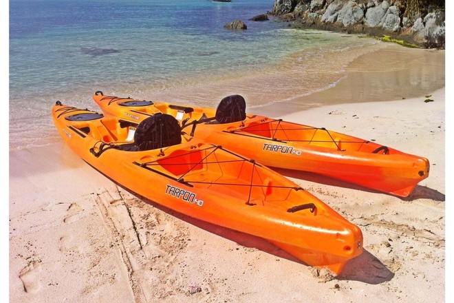 Kayak Rentals - 1day