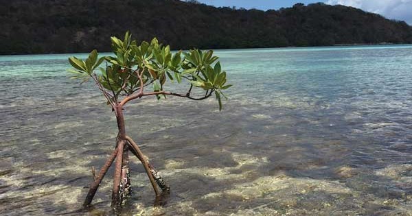 Hiking Excursion - Newfound Bay - 3hrs