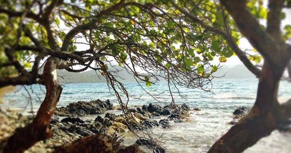 Hiking Excursion - Brown Bay - 3hrs