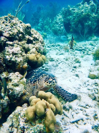 St. John Snorkel, Swim and Beach Experience Aboard MV - 4hrs