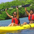 Create Listing: Kayak Rental - explore on your own Mangrove Lagoon -full day
