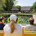 Create Listing: 1 HR Airboat Ride and Nature Walk in Everglades | 6 hrs  