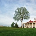 Create Listing: Mount Vernon and Old Town Alexandria Tour - 5hrs
