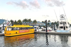 Create Listing: Water Taxi Hop On/Off | Ft. Lauderdale Stop | Age 5-11 ($15)