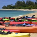 Create Listing: Single Kayak Rental (Anna Maria Island)