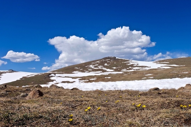 Rocky Mountain National Park Tour