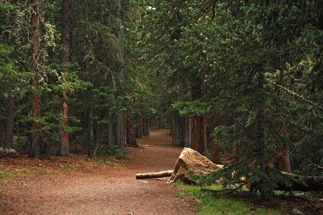 Half-Day Rocky Mountain Escape