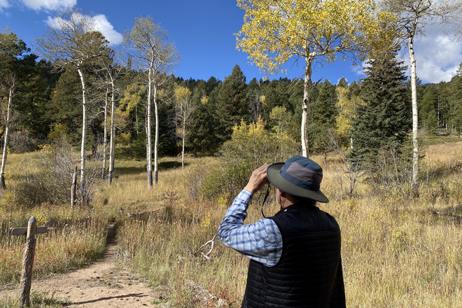 Elk Rut Observation